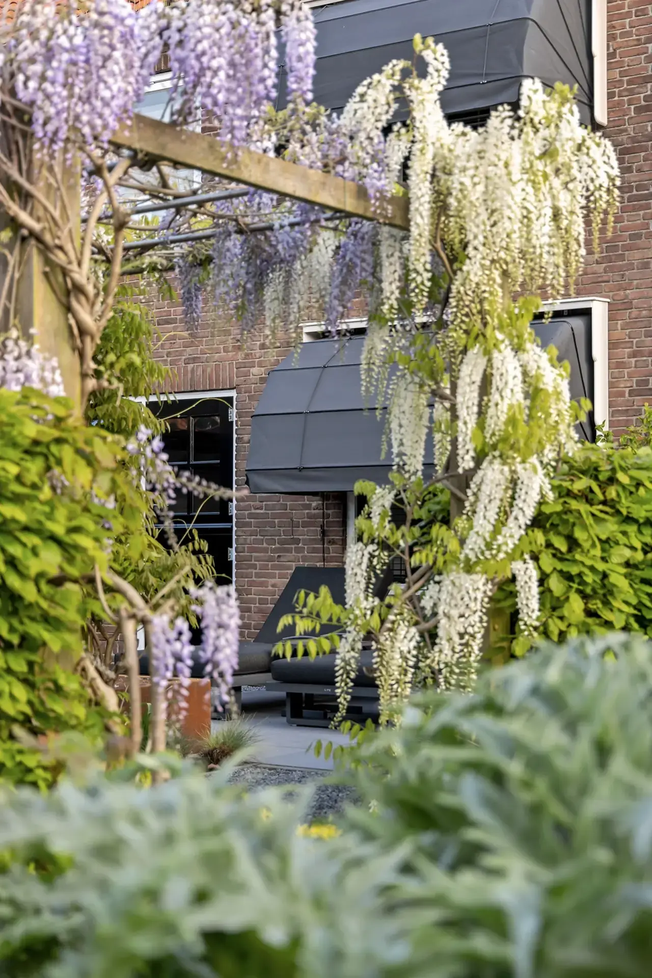 Doorkijk door pergola met hangende bloemen richting terras en woning.