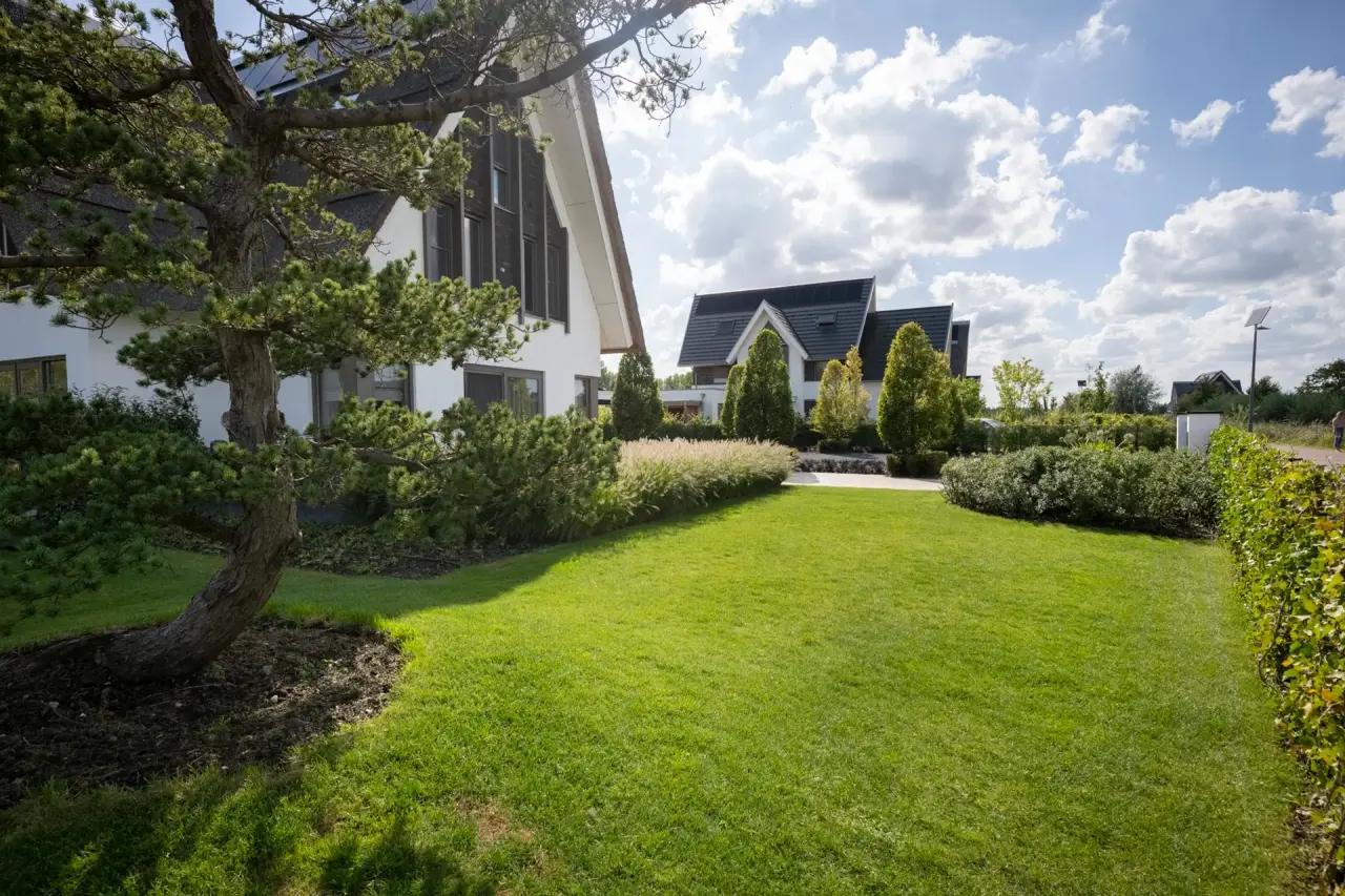 Strak gazon met solitaire boom en zicht op het zwembad en de woning.