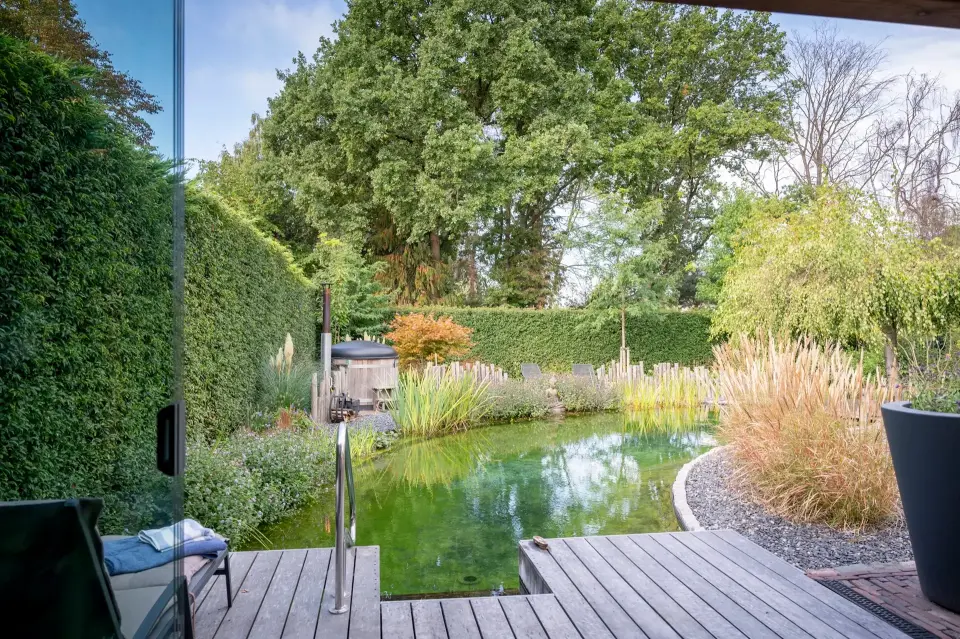 Houten vlonder aan de zwemvijver met zitplek en groene haag erachter.