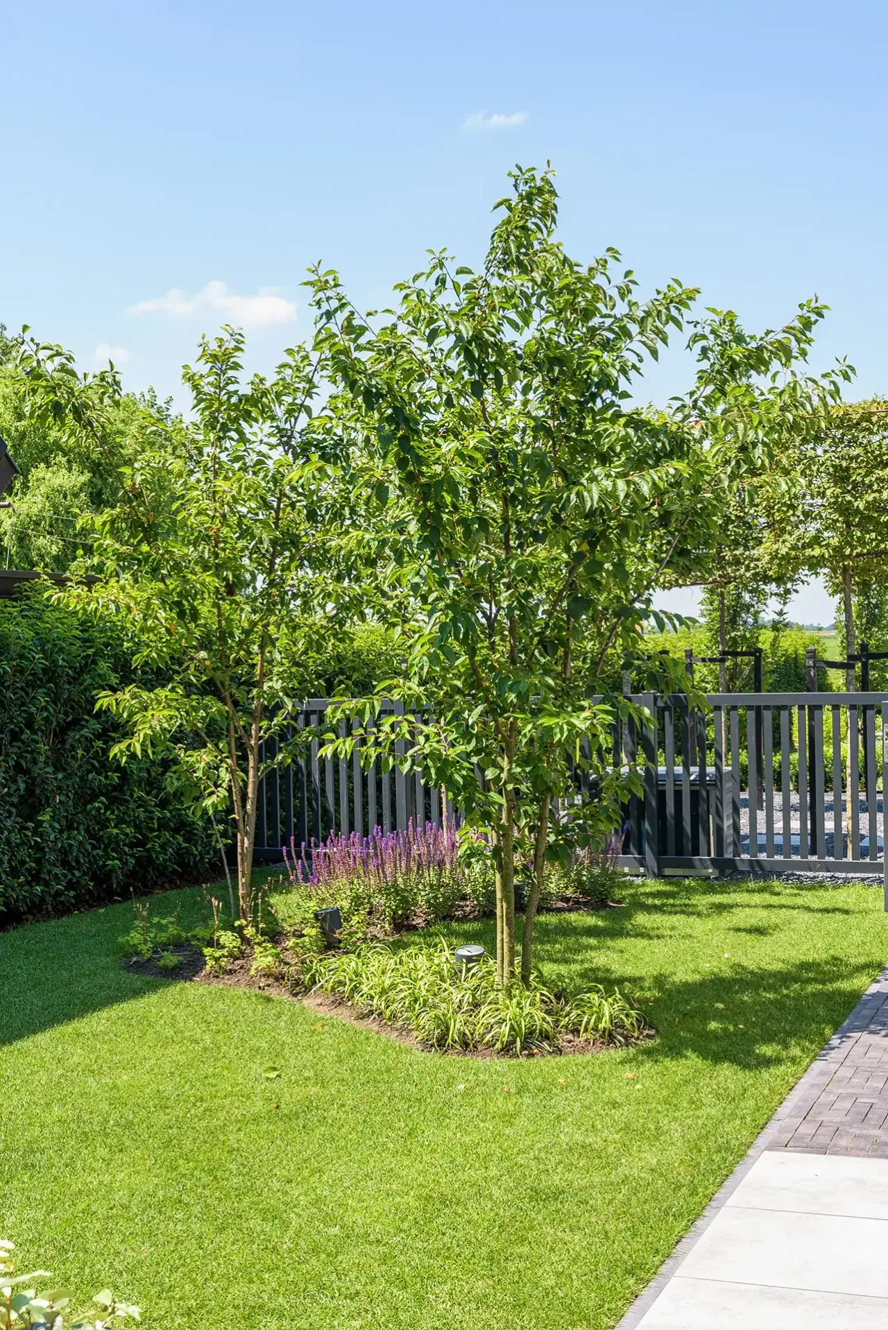 Grasveld met bloeiende hortensia&rsquo;s en olijfbomen in ontwerp van Art Verde