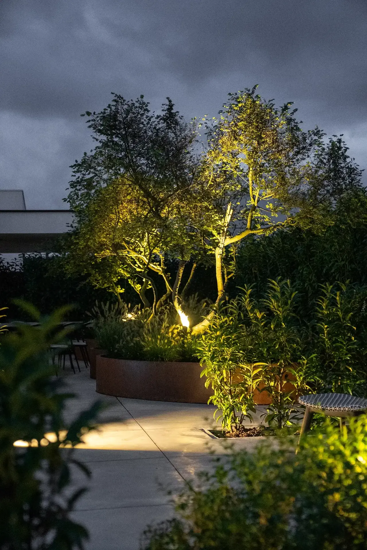 Warm licht op bomen en beplanting voor een betoverend lichteffect in de tuin