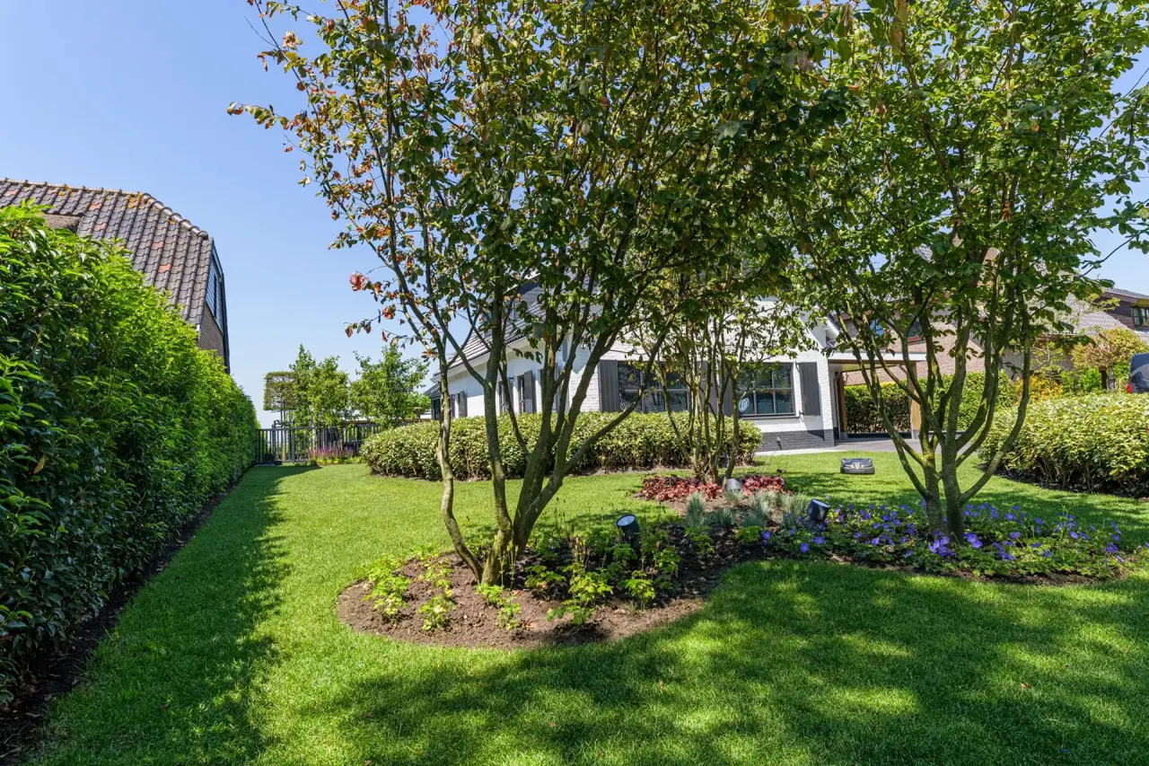 Centraal geplaatste boom met sierlijke onderbeplanting in moderne tuin