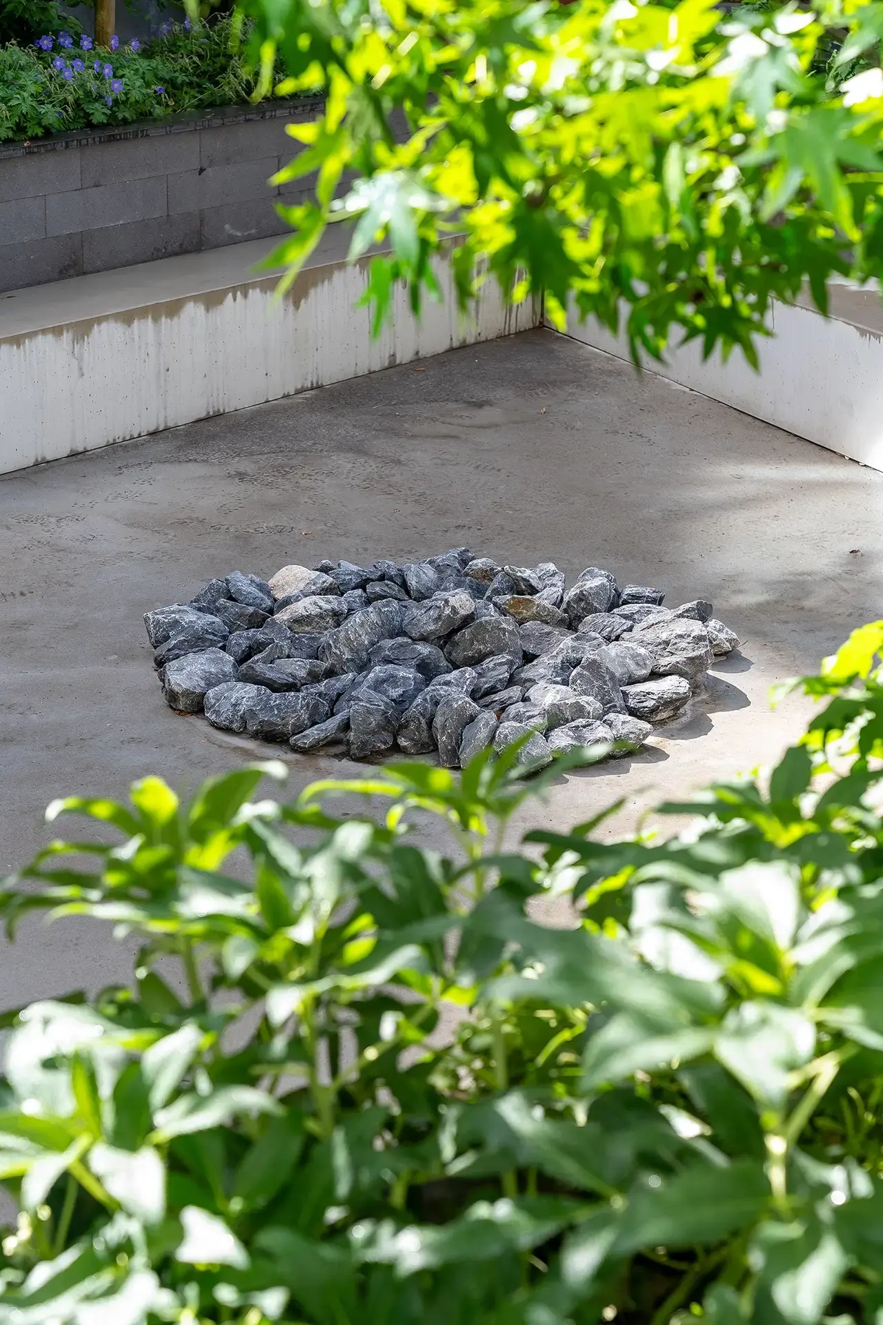 Close-up van frisse beplanting met bloeiende vaste planten en siergrassen.