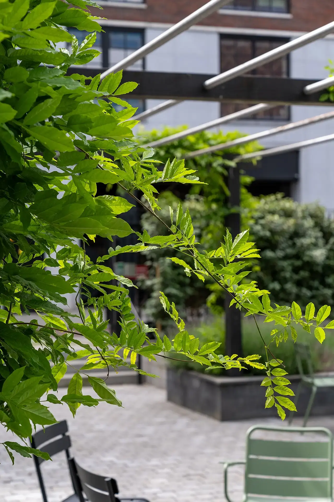 Verhoogde plantenbakken met bomen en vaste planten langs het looppad.