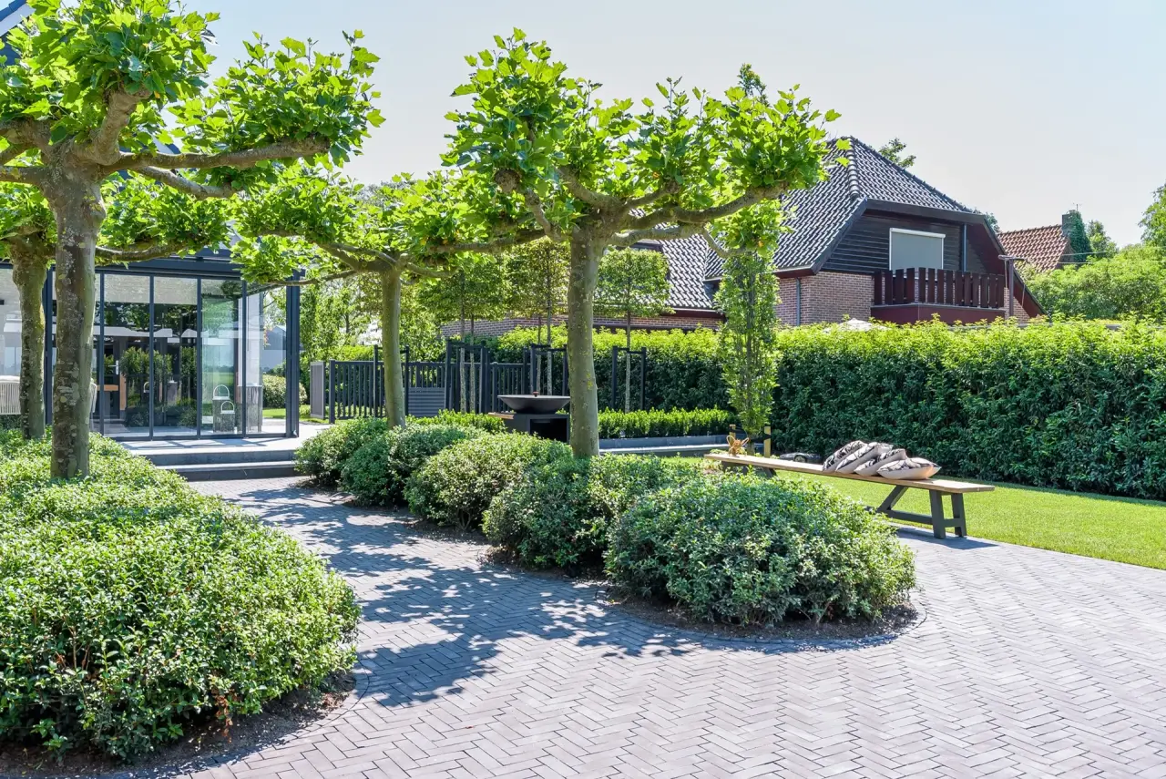 Entree met siergrassen, haagstructuren en bomen voor een uitnodigende aanblik