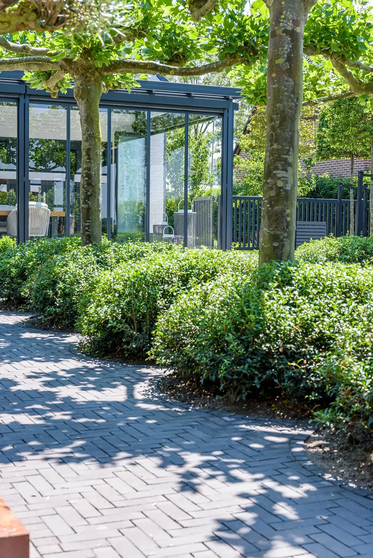 Strak pad tussen hagen en leibomen dat leidt naar glazen tuinkamer