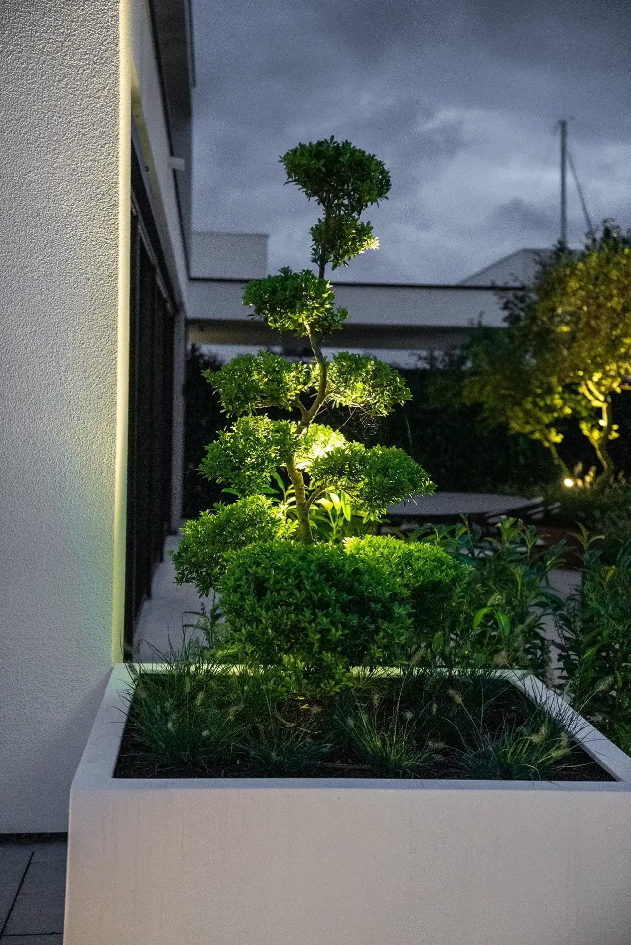 Verlichte bonsai en groenaccenten cre&euml;ren rust en diepte in moderne tuin